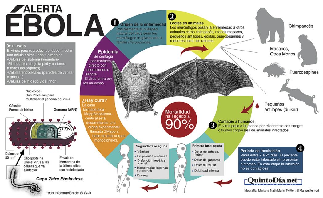 Resultado de imagen de infografias imagenes