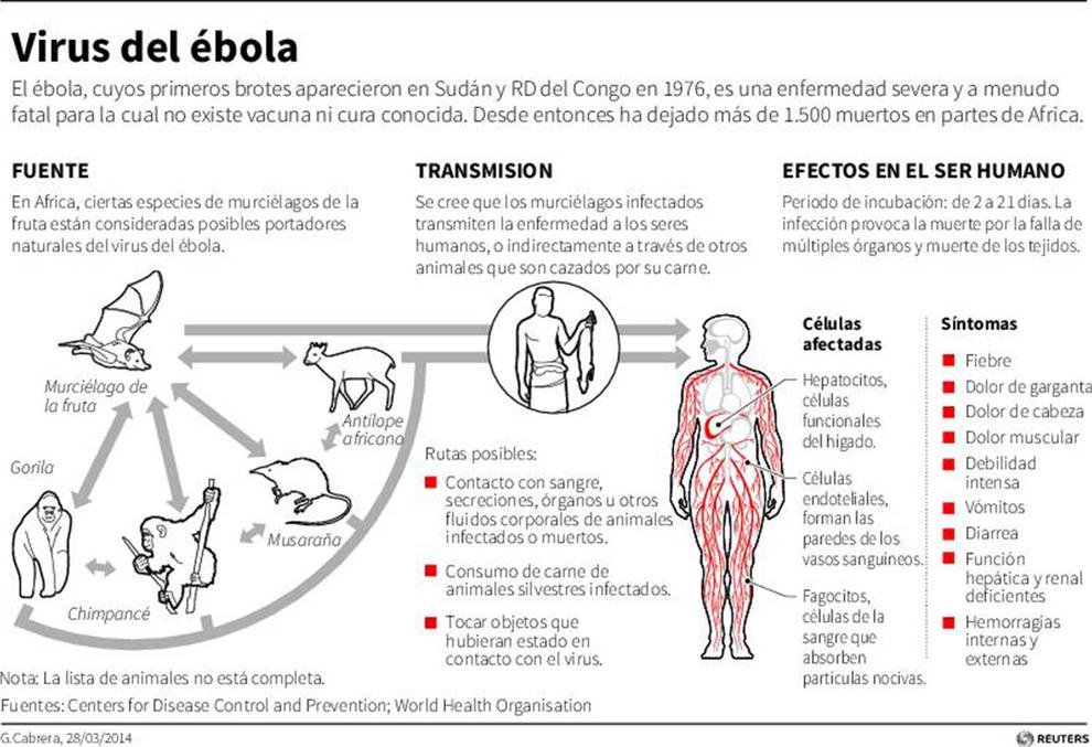 virus del ébola