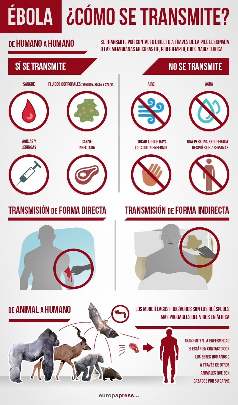 Infografías ebola