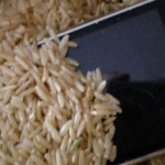 Arreglar tu móvil si se ha mojado ¿Cómo arreglar un móvil mojado con arroz?