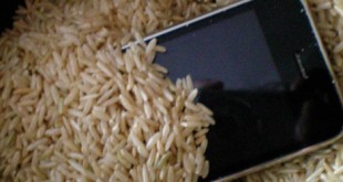 Arreglar tu móvil si se ha mojado ¿Cómo arreglar un móvil mojado con arroz?