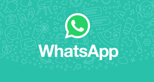 Whatsapp permite previsualizar vídeos en la nueva beta