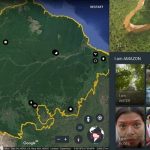 Google Earth te lleva al corazón de la Amazonia. Google Earth crea una plataforma para descubrir la historia de las culturas indígenas de la Amazonia