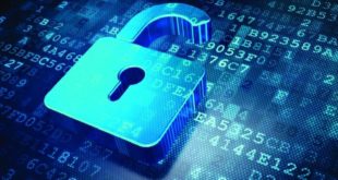 Las 5 claves para que los usuarios protejan la privacidad de sus datos al navegar por Internet