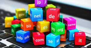 7-consejos-para-elegir-el-dominio-perfecto-para-un-negocio-en-internet