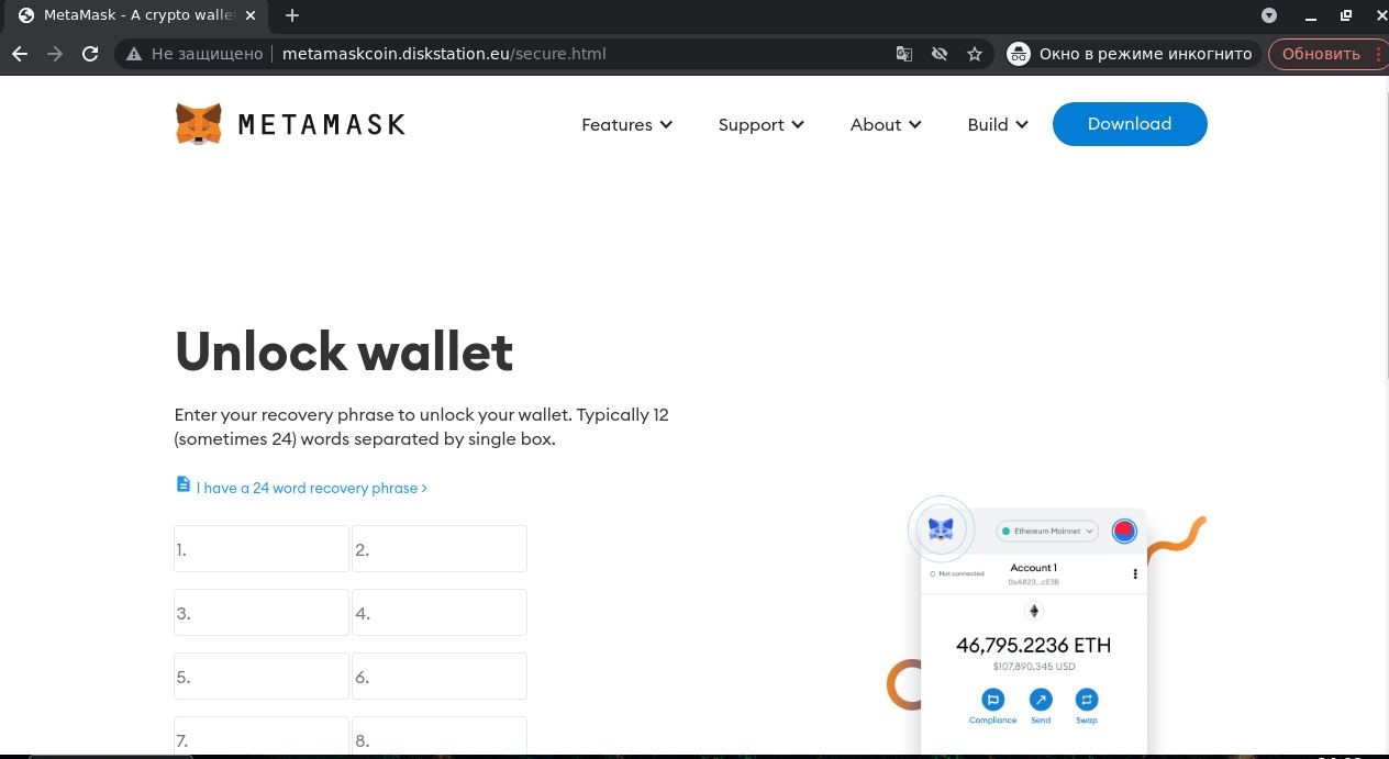 Ejemplo de una página de phishing que imita la página de MetaMask "Unlock wallet"