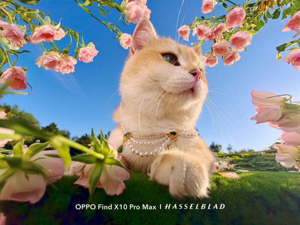 Fotografía tomada con la cámara ultra gran angular x0.5 del OPPO Find X10 Pro Max